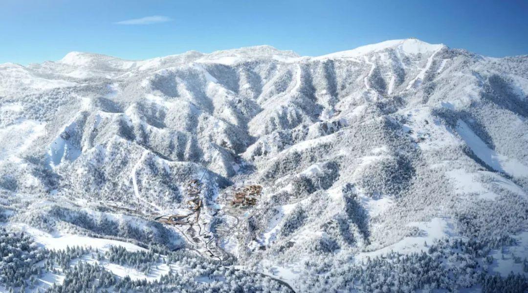 高水平赛事引领沈阳青少年冰雪运动新热潮